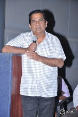 Eluka Majaka Movie Logo Launch